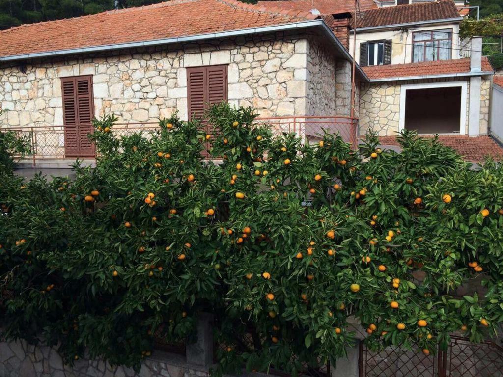 Holiday House With A Parking Space Svirce, Hvar - 17682 Vrbanj 외부 사진